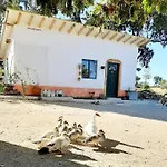 Σπίτι διακοπών Terramadome, 