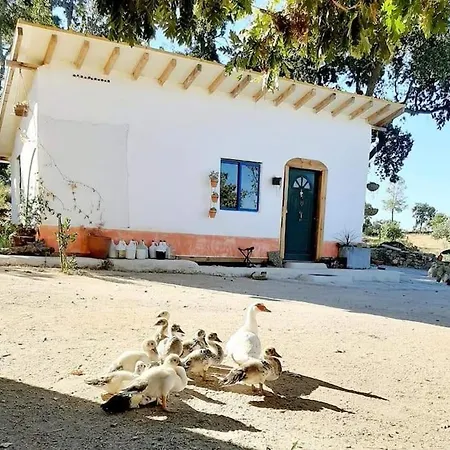 Σπίτι διακοπών Le Dome