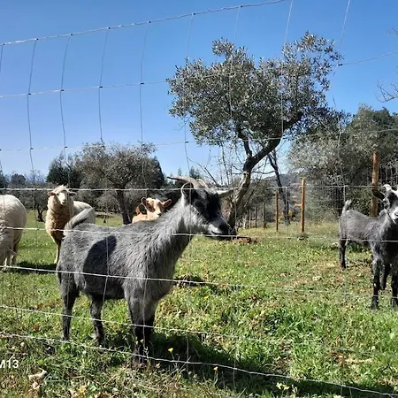 Le Dome Σπίτι διακοπών *