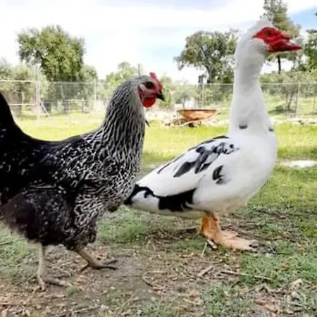 Σπίτι διακοπών Le Dome *