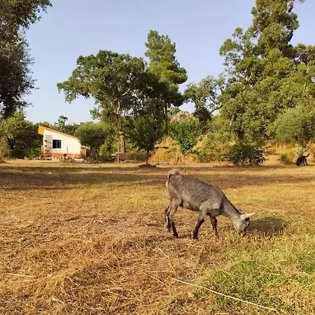 Le Dome Tatil Evi Penamacor
